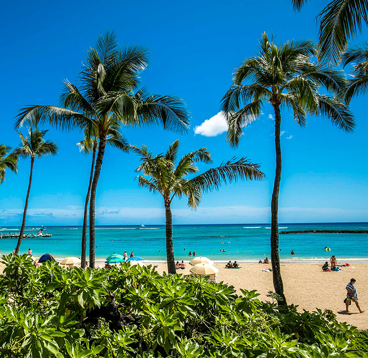 絶景に心奪われる、ハワイのオーシャンビューのレストラン５選