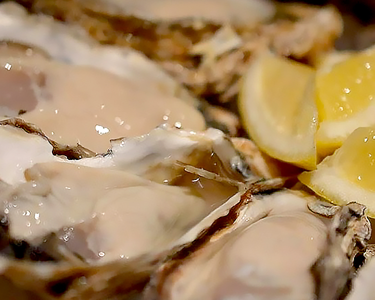 牡蠣と和食Ikkokuの生牡蠣