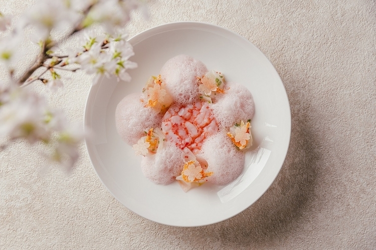 弾力ある食感と甘みが凝縮された甘エビのミキュイを中心に、リボンのように長くスライスした蕪をエビのオイルと和えて添え、桜エビと桜のクリスティヤンを飾りつけに。桜がほんのり香るピンク色の泡を加えて完成。テーブルの上でお花見が楽しめる一皿