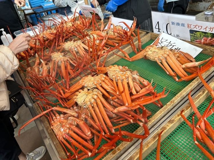 その日によって価格は変動しますが、この日は足折れ蟹が3,500円～4,500円、足が折れていない蟹は7,000円～8,000円で販売されていました