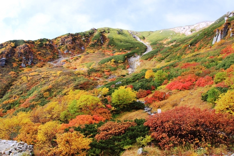 ダケカンバやナナカマドが色づく千畳敷カール（©長野県観光機構）