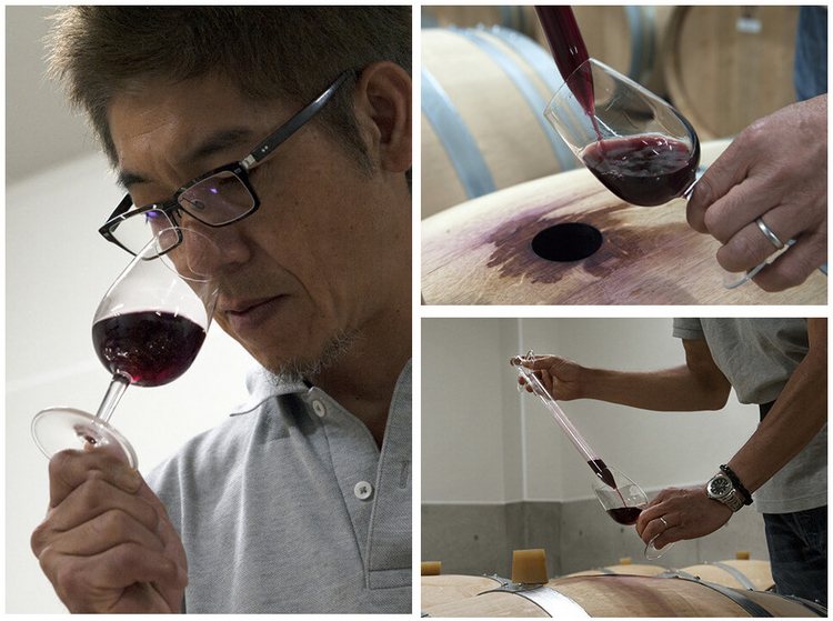 【信州たかやまワイナリー】の醸造責任者　鷹野永一さんが現在のワインの状況をチェックするため、定期的に確認