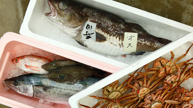 朝、魚津の漁港に揚がったばかりの魚を発泡で氷詰めにして運んでくる。真鱈、のどぐろ、さわら、かわはぎ、上の箱にはせいこ蟹がぎっしりと