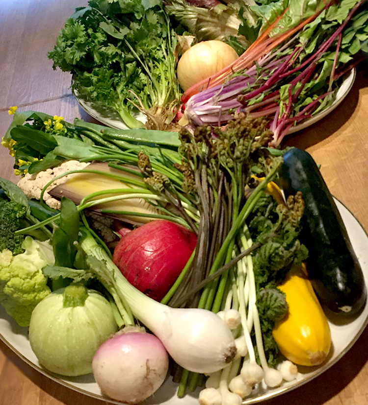 使う野菜は、毎日20～30種と多彩