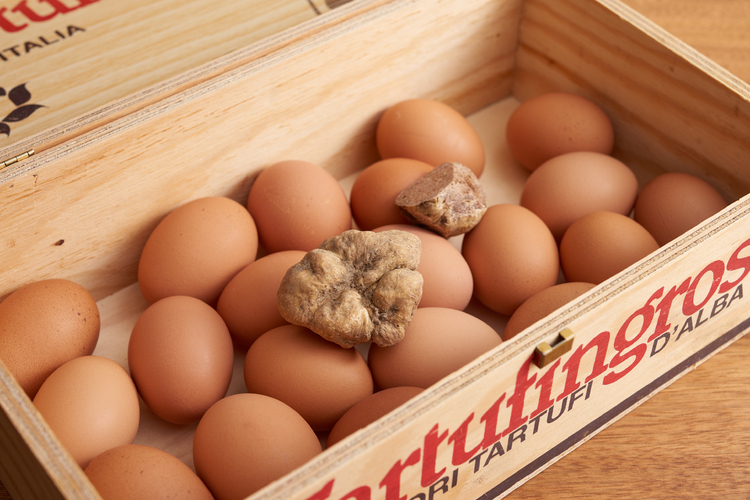 トリュフと卵をいっしょに保存する事で、卵の中身にトリュフの香りがほんのり移り、香がさらに良くなる