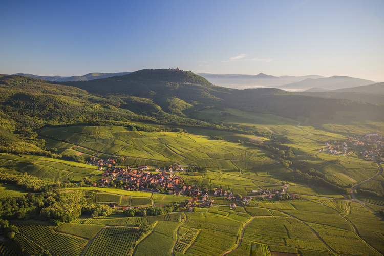 ドイツ国境に位置するアルザス地方は、フランスのワイン産地の北限の1つ。冷涼な気候でありながら、ヴォージュ山脈の斜面に広がる畑で、夏から秋にかけて太陽の恵みを存分に受けてブドウが育ちます。<br />
©VUANO-ConseilVinsAlsace