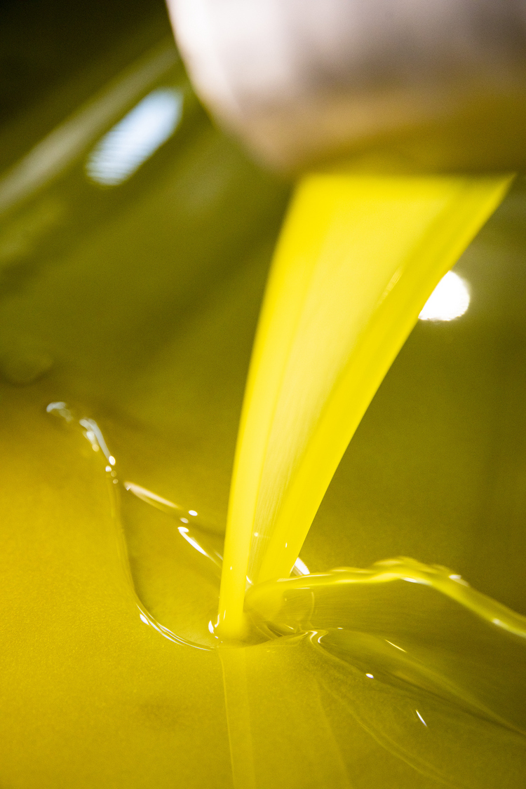 プレスされたオリーブオイルは黄金色。まだ透きとおっておらず、濁っているのが無濾過のオリーブオイルの証拠