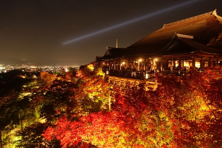 清水寺は紅葉シーズン中の夜、一帯がライトアップされる（日程はシーズンによって異なる）