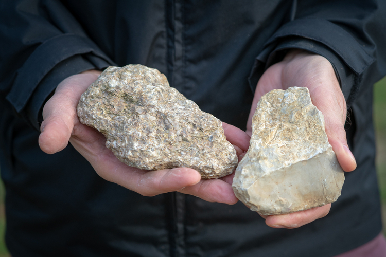 左がキンメリジャン特有の石、右はプティ・シャブリのブドウが栽培されるポートランディアンの土壌から。