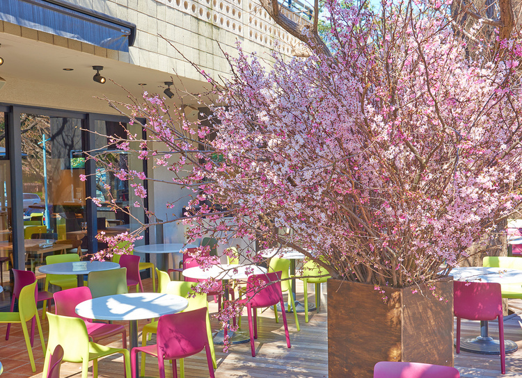 「桜テラス」は3月12日（火）〜4月12日（金）の期間限定開催。※テラスに桜が設置されるのは4月12日まで