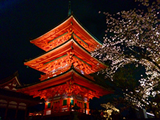 【春の京都はここ！】京都の桜名スポットと、おすすめグルメ店をご紹介