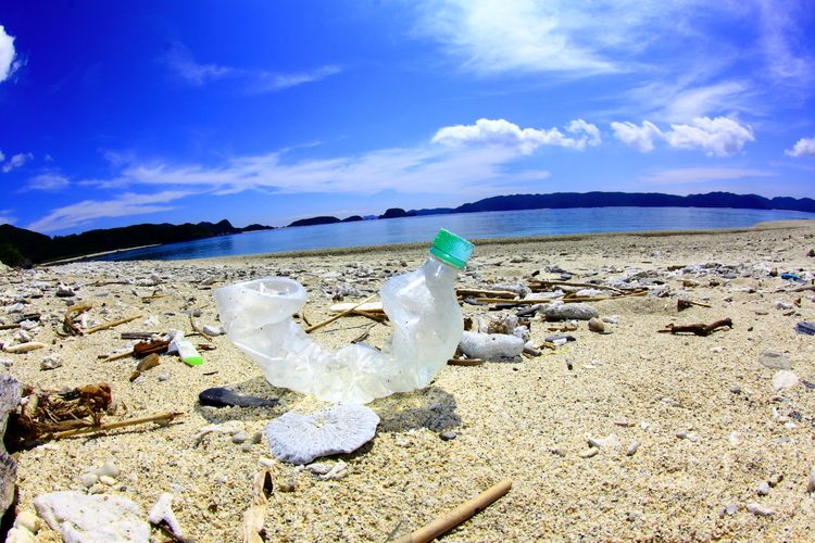 海に流れ出たプラスチックごみは、多くが海を浮遊し、一部は海の底に沈み、一部は各地の浜に打ち上げられる。日本から流出するプラスチック製海洋ごみも2万トン～6万トンあるとされる（2010年推定／環境省「海洋ごみをめぐる最近の動向」（2018年）より）
