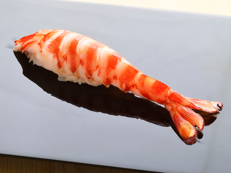 【鮨たかはし】の美しいクルマエビの寿司