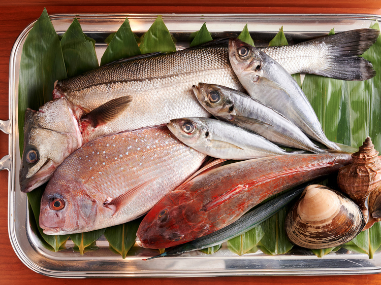 庄内浜を中心に主に日本海側で獲れた魚を使用。