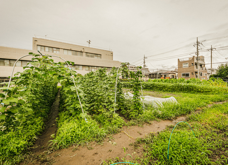 都営三田線「蓮根」駅から徒歩10分、住宅街に突如現れる「THE HASUNE FARM」