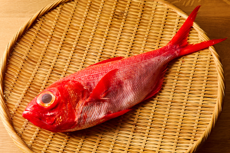 その日に仕入れた鮮魚を使用。写真は静岡県産の金目鯛