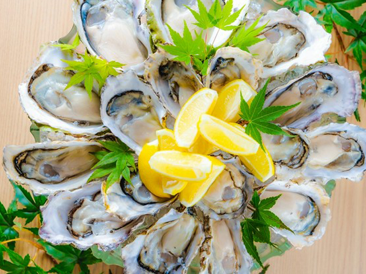 佐渡牡蠣海鮮料理 かき家こだはる 新橋店のお得な生牡蛎おまかせ盛り合せ