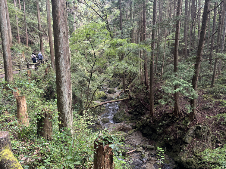 払沢の滝