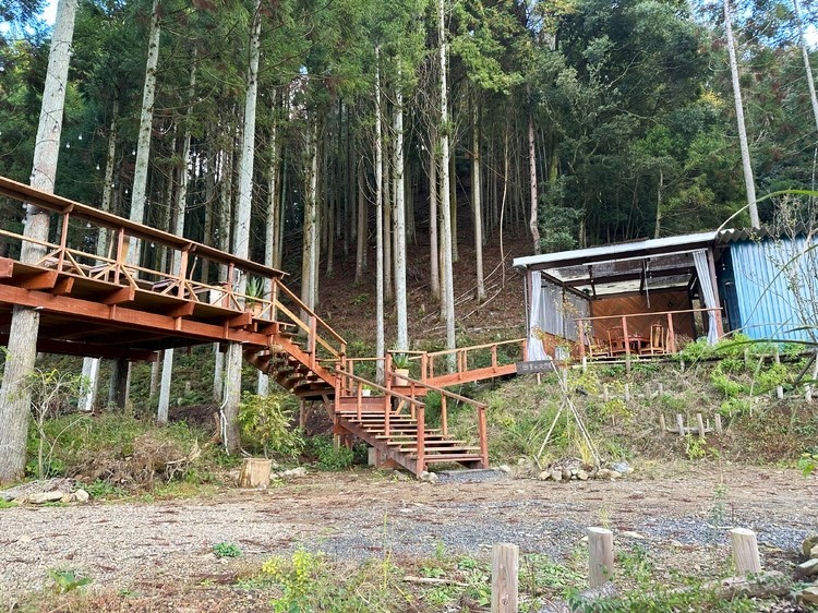 田舎の大鵬