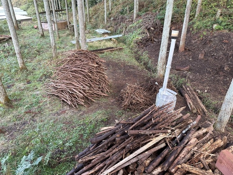 田舎の大鵬