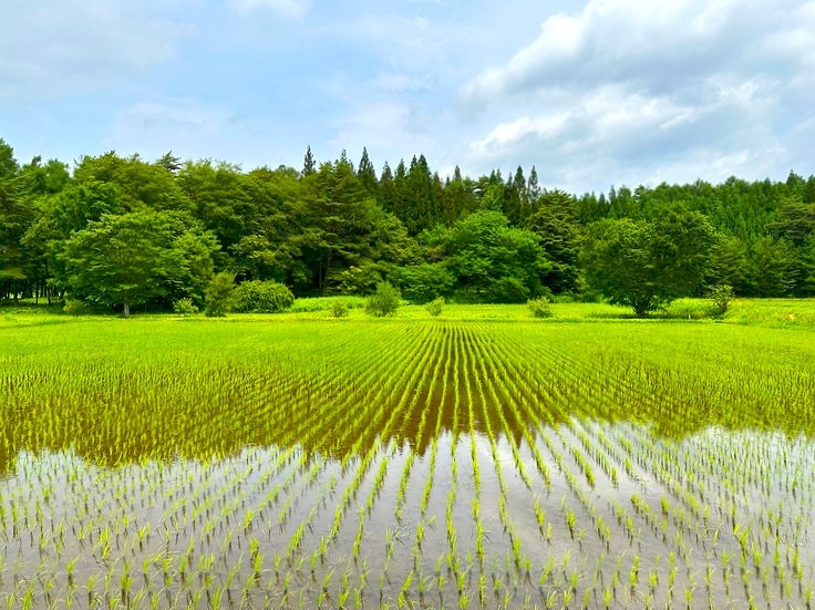 三陸