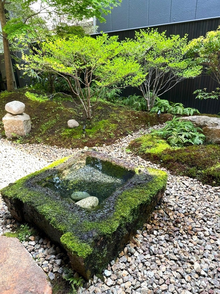 しろ