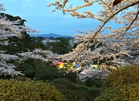 秋田グルメ旅