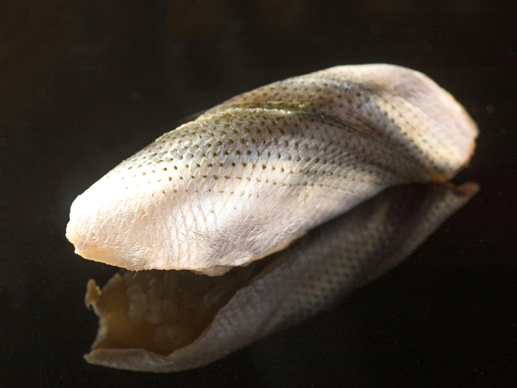 江戸前鮨 二鶴の小肌