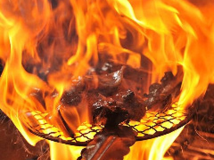 大名古屋酒場　坊主　栄店の名古屋コーチンモモ肉の炭火焼き