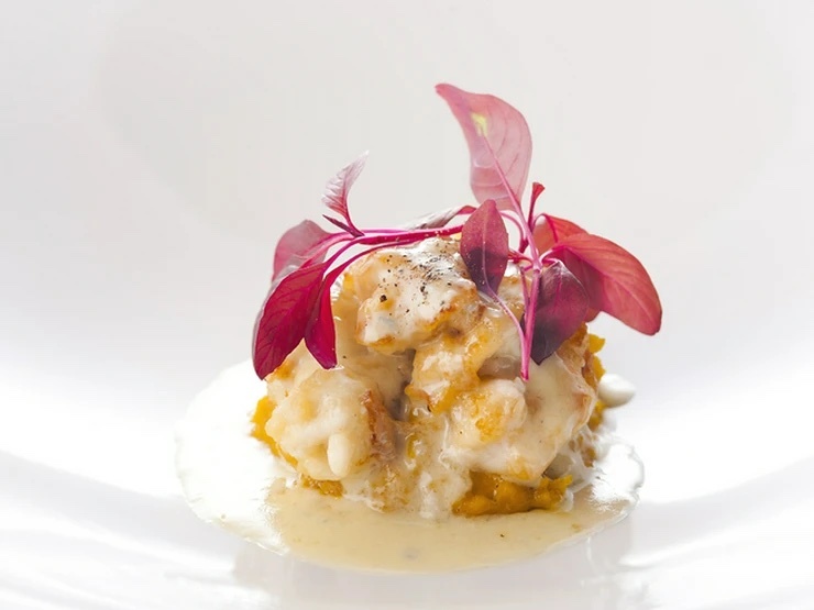 RICCI　cucina　italianaの料理