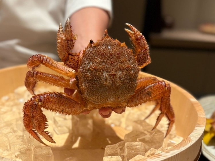 北海道産の毛蟹