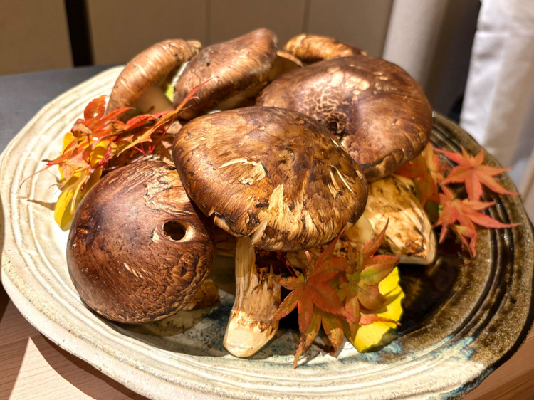 肉厚な国産松茸
