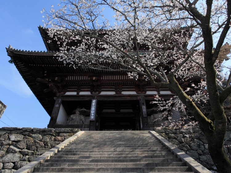 「金峯山寺 仁王門（きんぷせんじ におうもん）」