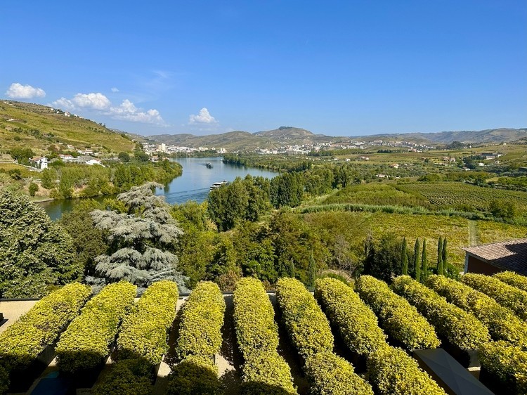 ポルトガルの葡萄畑