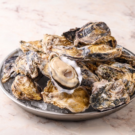 牡蠣好き必見！ 渋谷・新宿で味わう冬のおすすめ店5選