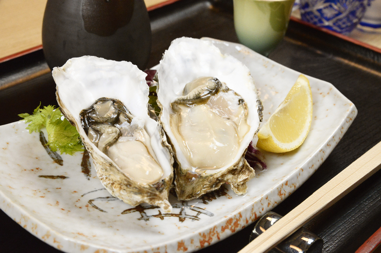 双子山しょうじ