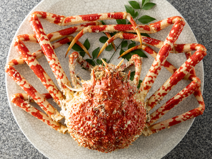 の一食堂の料理