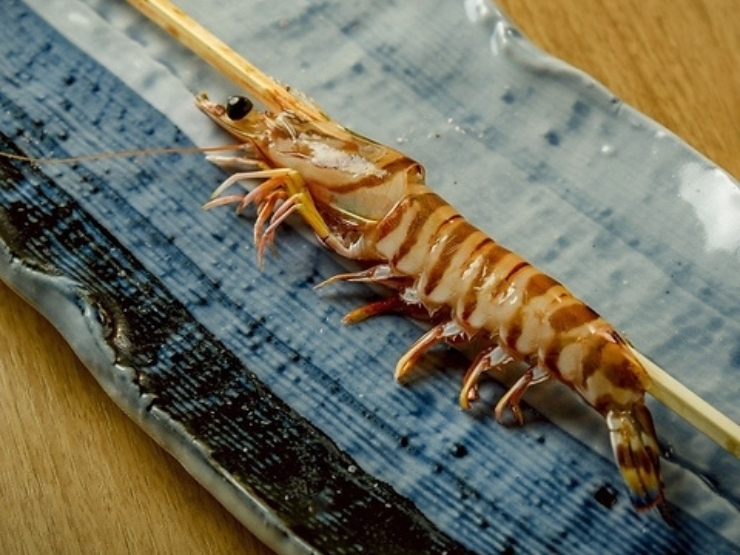 アナタと博多の料理