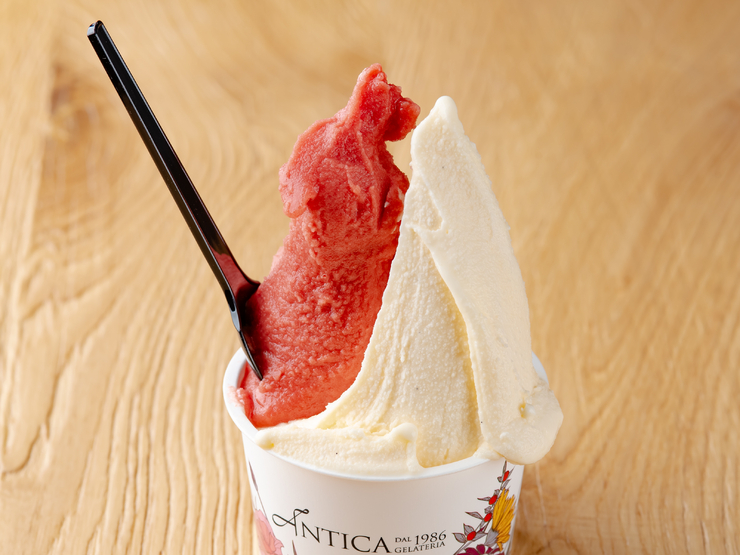 ANTICA GELATERIA SAPPOROのジェラート
