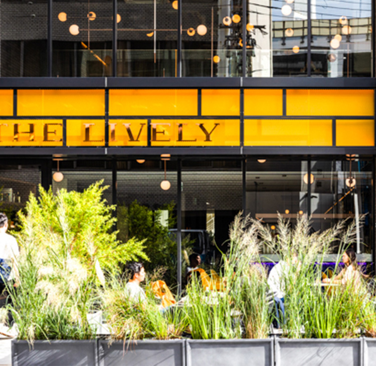 THELIVELYKITCHEN大阪