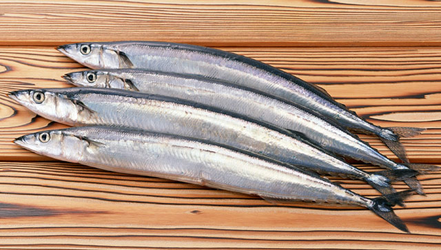 イワシ、サンマ、サバなどの青魚にはDHAやEPAが豊富に含まれています