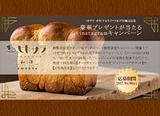豪華景品が当たる！ 展覧会限定販売の『かつお出汁100％食パン』アレンジレシピキャンペーン