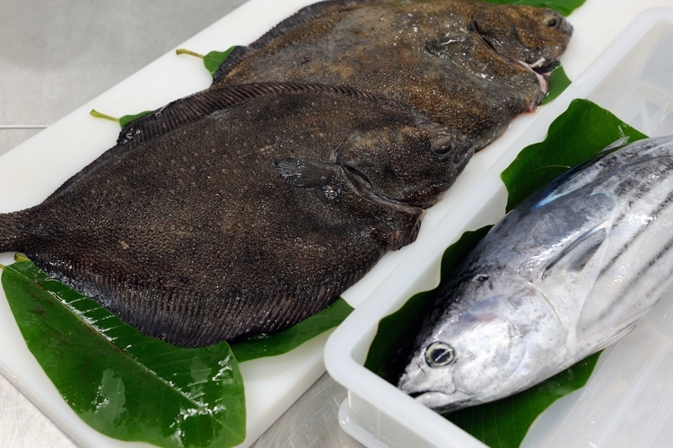 魚はほとんど焼津の【サスエ前田商店】からとっている。「前田さんからいろいろ勉強させてもらっています」