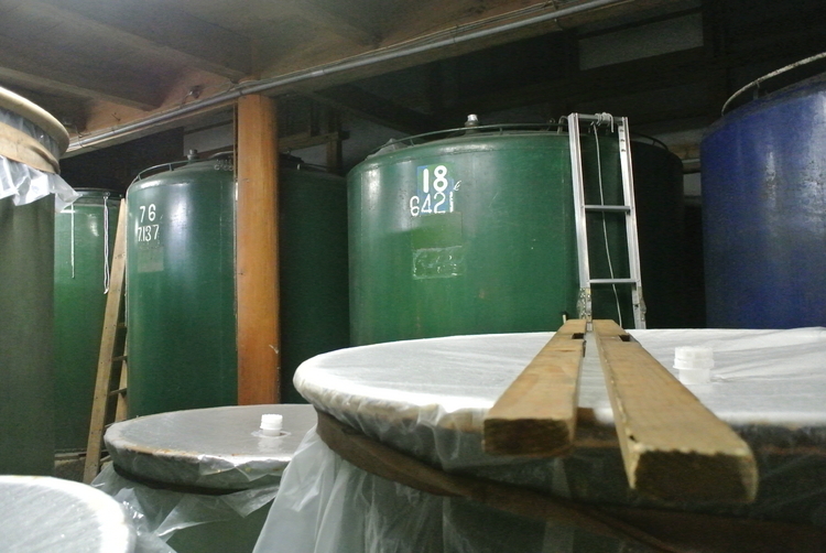 発酵中の樽。【宝山】では、現在４人で仕込みの作業を行っているそう