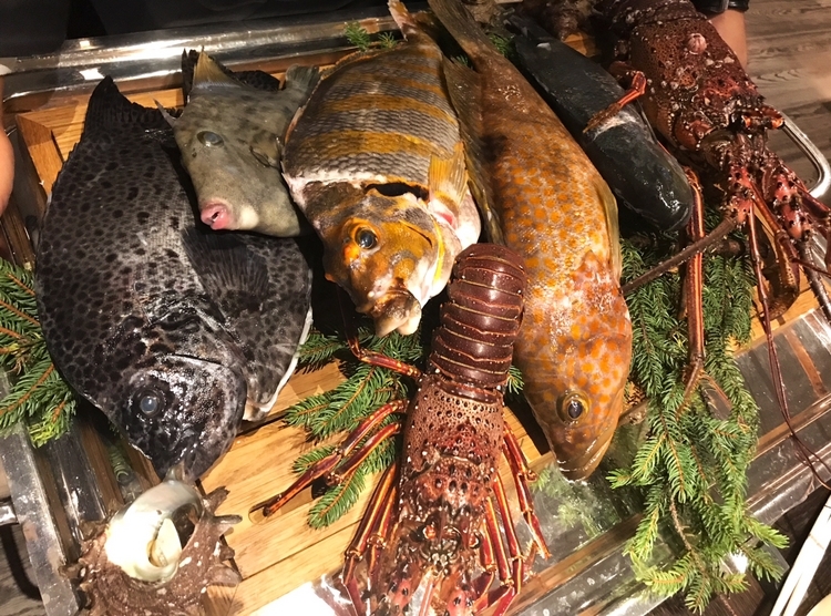 五島灘であがったばかりの魚介がズラリ!　圧巻です。