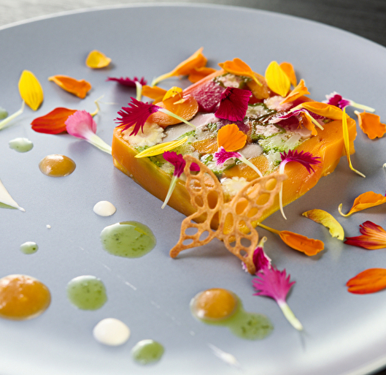 三軒茶屋｜“リピートしたくなる”大人フレンチ体験を。四季の瞬間を映すモダンフレンチ【Freeeat（フリート）】